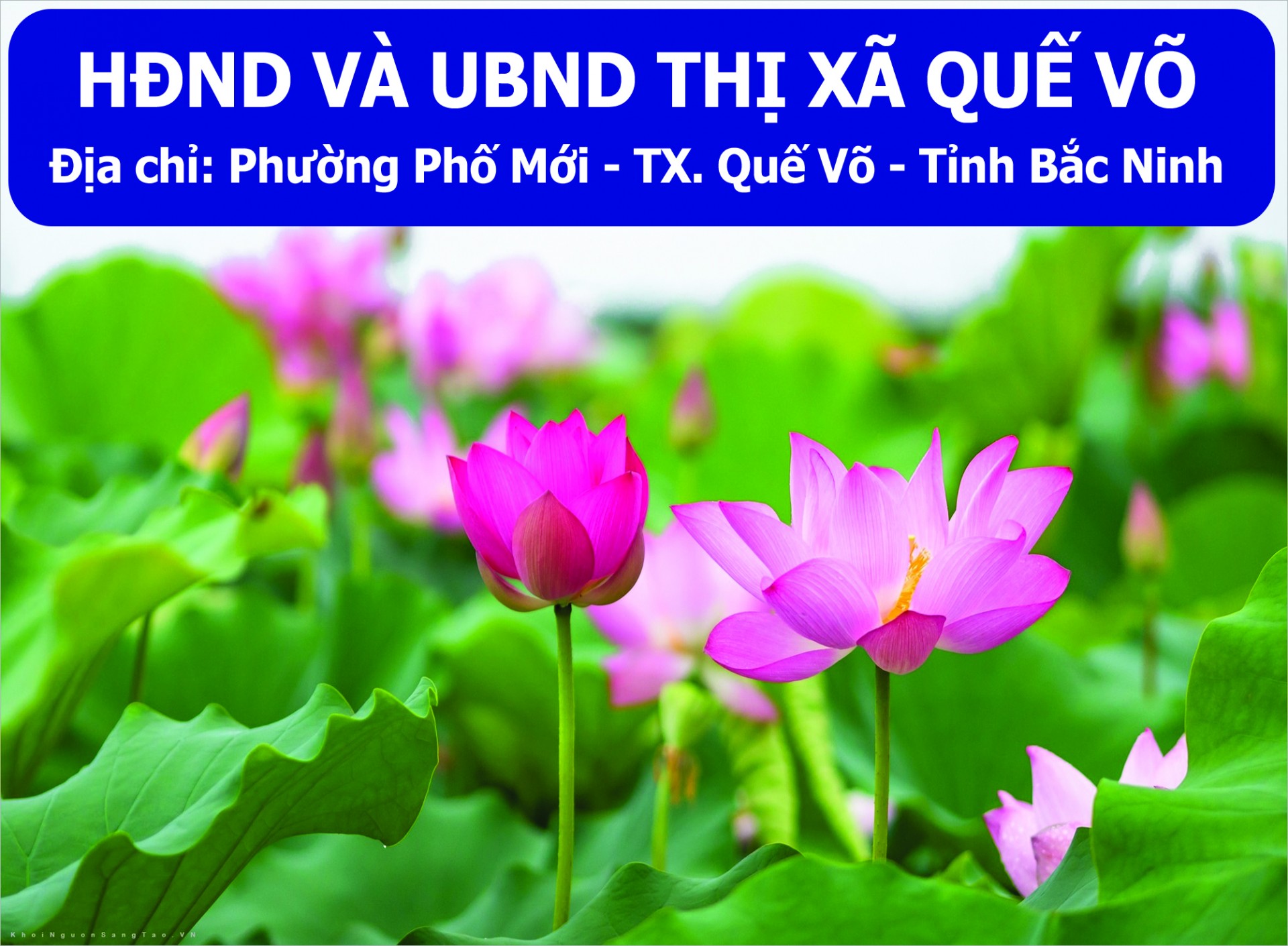 HĐND và UBND thị xã Quế Võ
