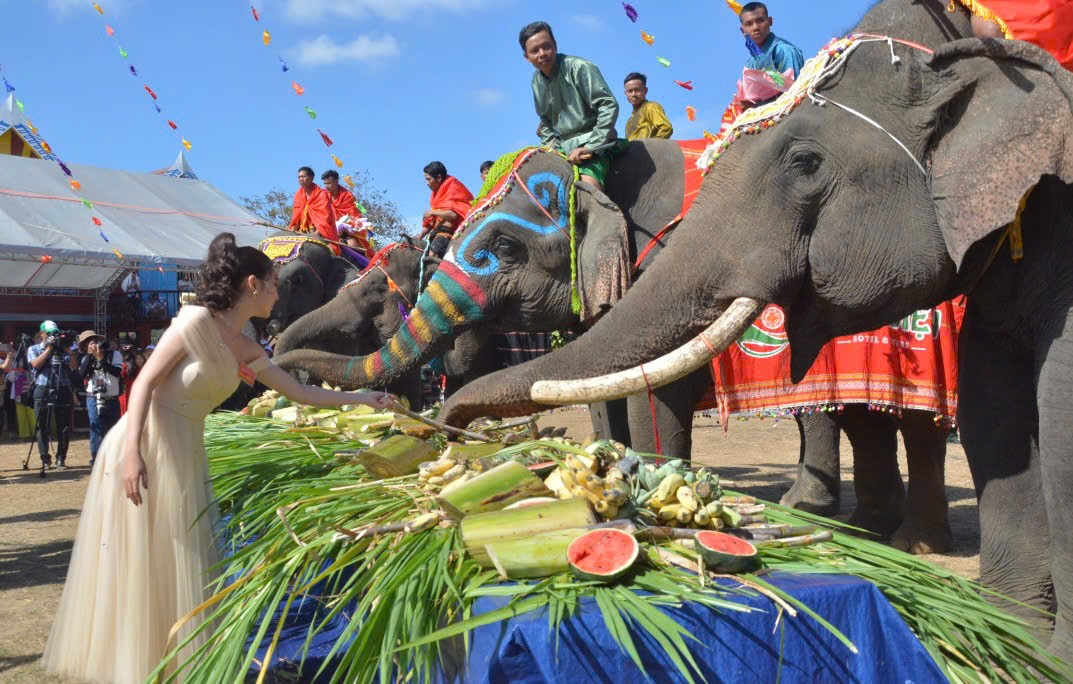 Tưng bừng đặc sắc ngày Hội voi Buôn Đôn 2025