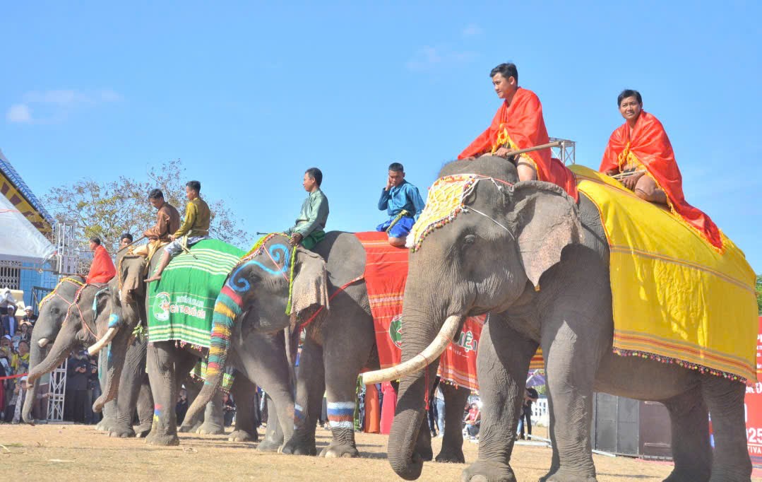 Tưng bừng đặc sắc ngày Hội voi Buôn Đôn 2025