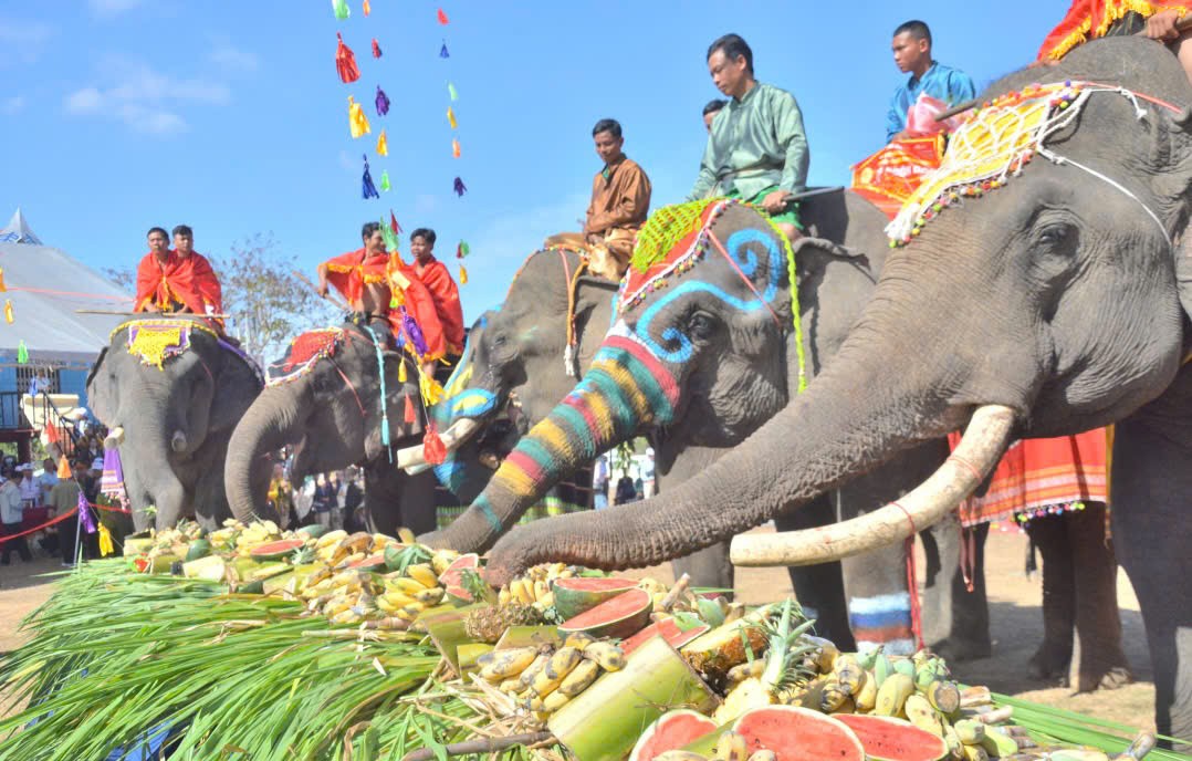 Tưng bừng đặc sắc ngày Hội voi Buôn Đôn 2025