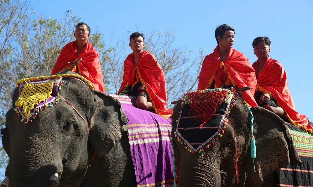 Tưng bừng đặc sắc ngày Hội voi Buôn Đôn 2025