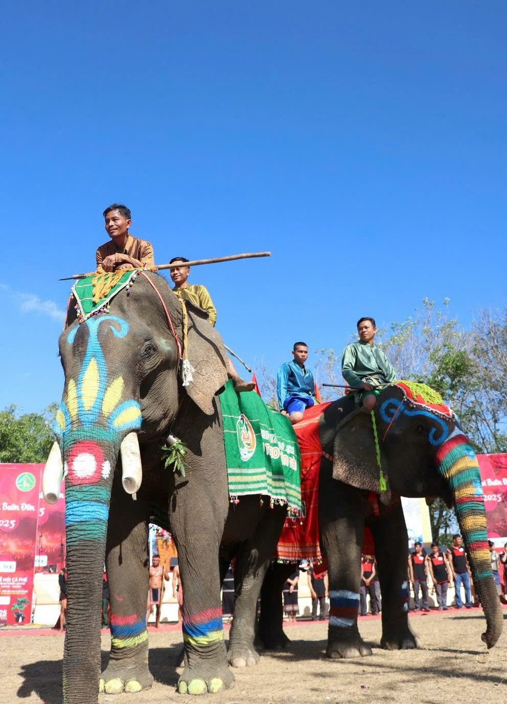 Tưng bừng đặc sắc ngày Hội voi Buôn Đôn 2025