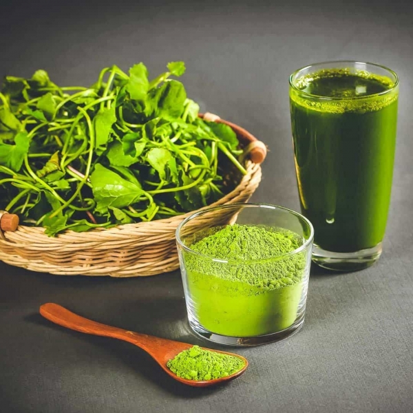 Rau má: Loại rau quý giá với vô vàn lợi ích cho sức khỏe và sắc đẹp