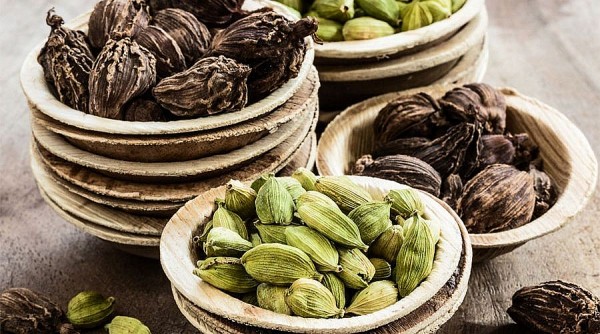 Cây thuốc và phong tục tập quán của các vùng miền: Khám phá di sản y học dân gian