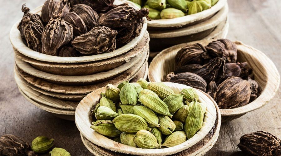 Thảo quả: Dược liệu quý với nhiều lợi ích sức khỏe