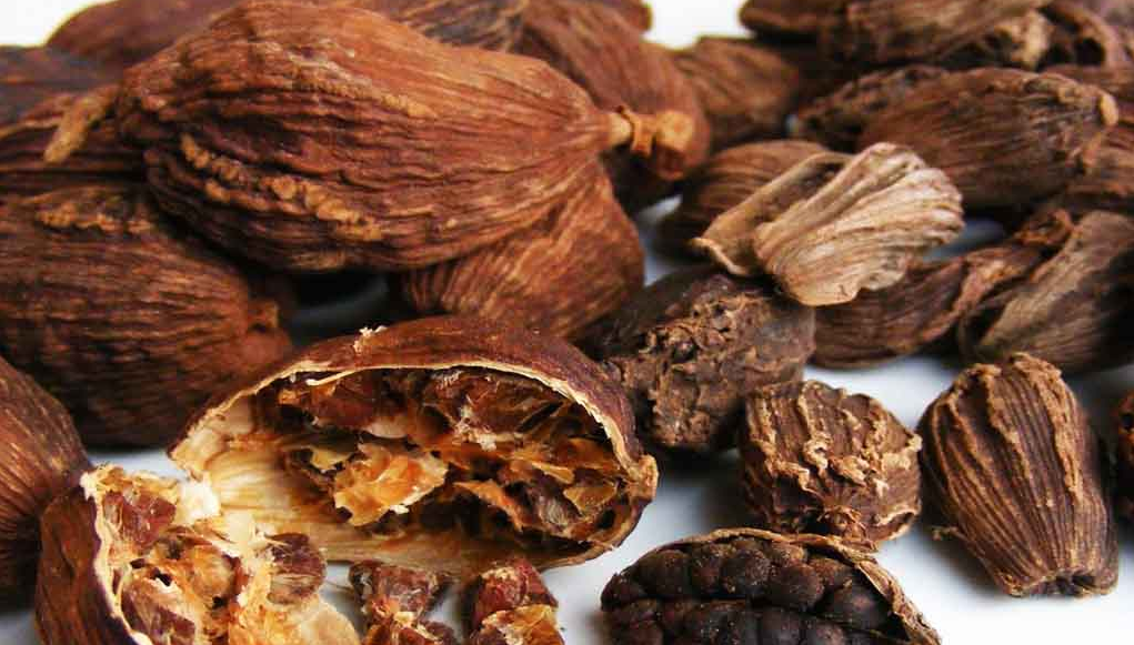 Thảo quả: Dược liệu quý với nhiều lợi ích sức khỏe