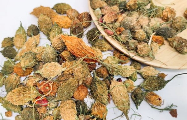 Khổ qua rừng - Thần dược điều hòa đường huyết từ thiên nhiên