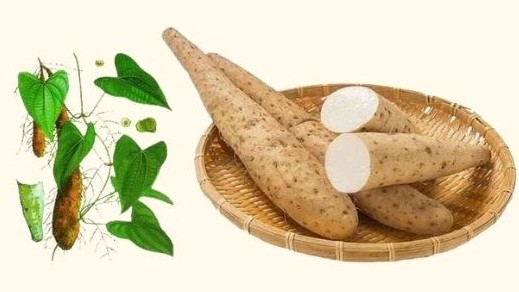 Hoài sơn "củ mài": Vàng mười hỗ trợ điều trị tiểu đường