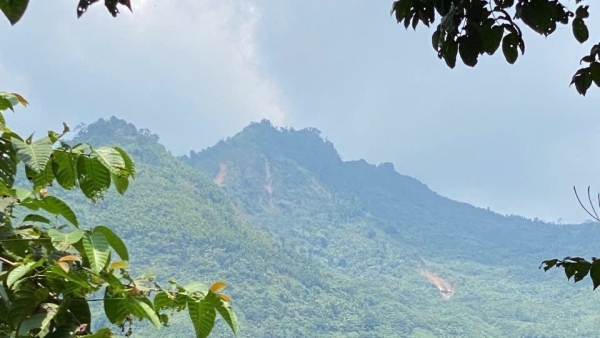 Văn Yên (Yên Bái): Phát triển du lịch từ lợi thế quế, tạo đột phá thu hút đầu tư