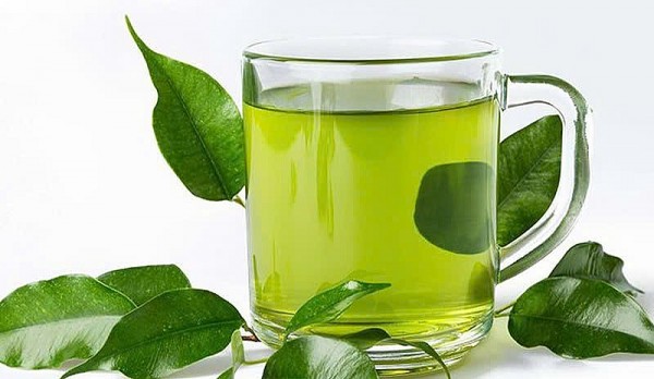 Một số lưu ý khi sử dụng lá sung làm thuốc