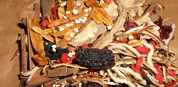 Bài thuốc đông y trị bệnh sỏi tiết niệu an toàn, hiệu quả 