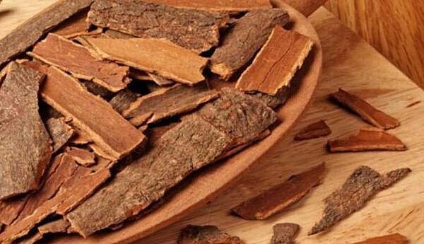 Yohimbe Bark Extract – Hỗ trợ điều trị rối loạn cương dương từ thảo dược thiên nhiên