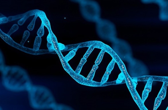 Phát hiện gene gây nguy cơ cao mắc rối loạn lưỡng cực và bệnh thận