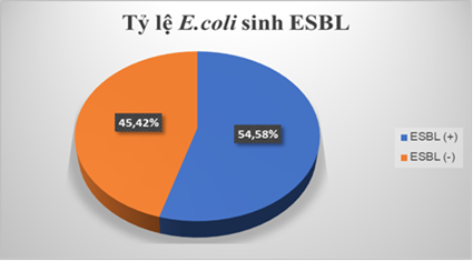 KHẢO SÁT TỶ LỆ NHIỄM VÀ MỨC ĐỘ KHÁNG KHÁNG SINH CỦA ESCHERICHIA COLI TRÊN BỆNH NHÂN VIÊM PHÚC MẠC
