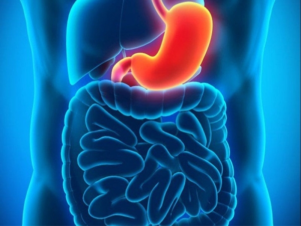 Vì sao người trẻ ngày càng đau dạ dày, rối loạn tiêu hóa?