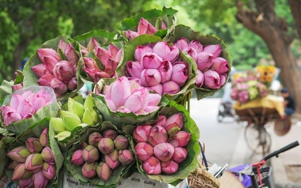 Dự báo thời tiết và ngày 4/7/2025: Nhiều mây, có lúc mưa rào và dông