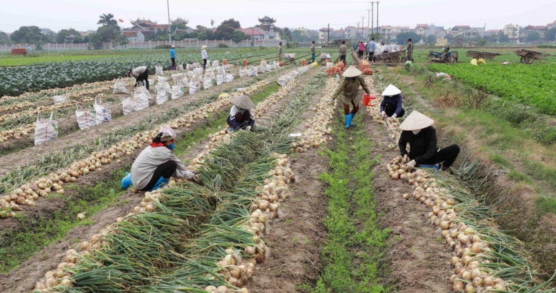 Xã Thiên Lộc Thành phố Hà Nội: Nơi hội tụ giá trị tốt đẹp và tiềm năng phát triển rực rỡ Xã Thiên Lộc Thành phố Hà Nội: Nơi hội tụ giá trị tốt đẹp và tiềm năng phát triển rực rỡ