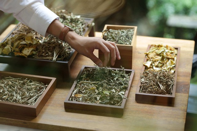 Thảo dược truyền thống hỗ trợ chức năng gan