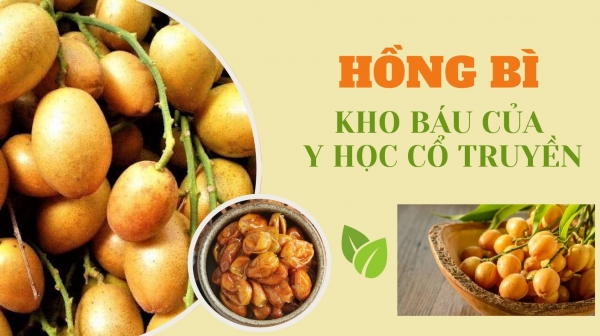 [E-Magazine] Hồng bì - Kho báu của y học cổ truyền