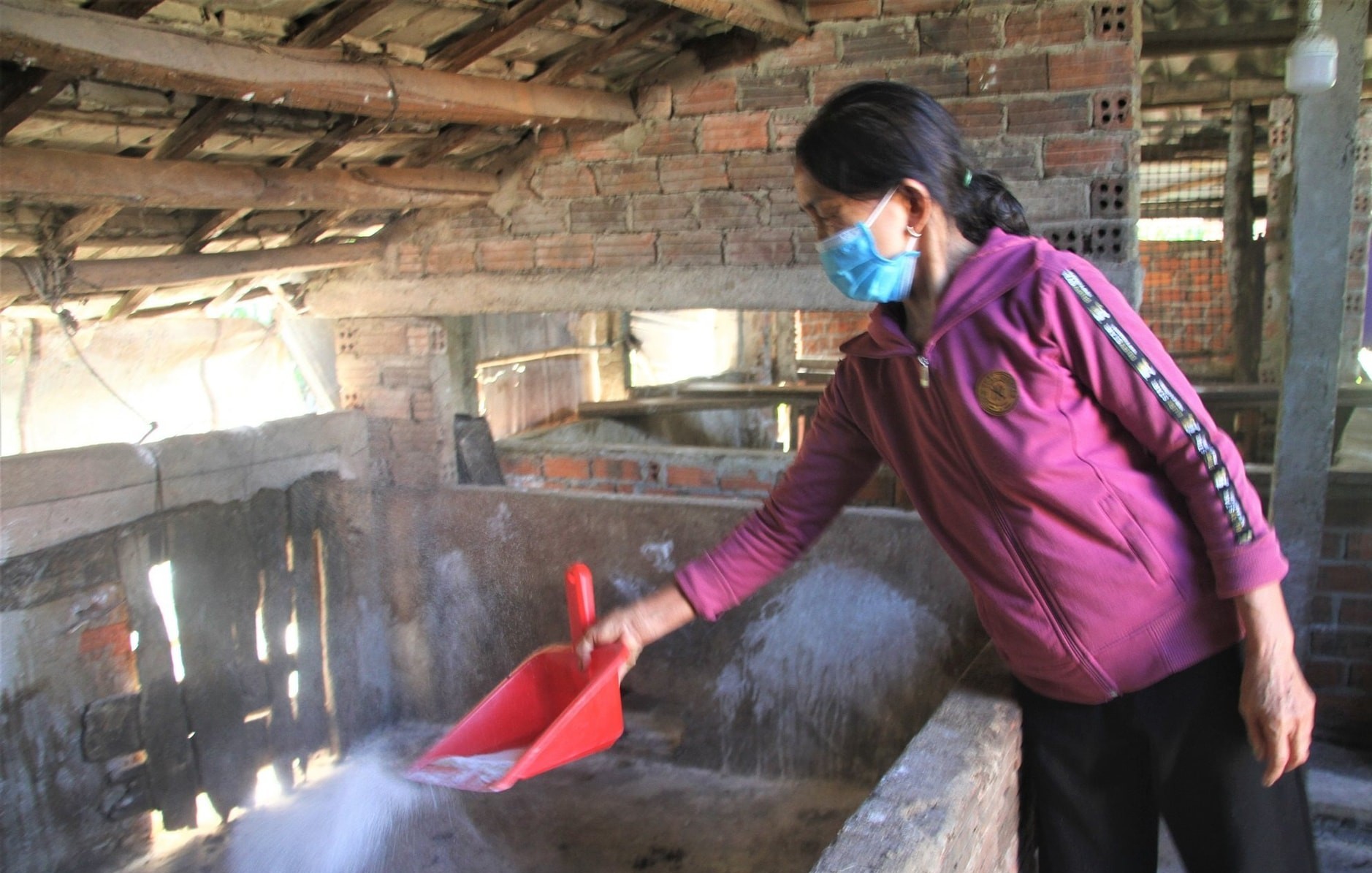 Đà Nẵng siết chặt phòng, chống dịch tả lợn châu Phi: Chủ tịch xã, phường chịu trách nhiệm nếu dịch bùng phát