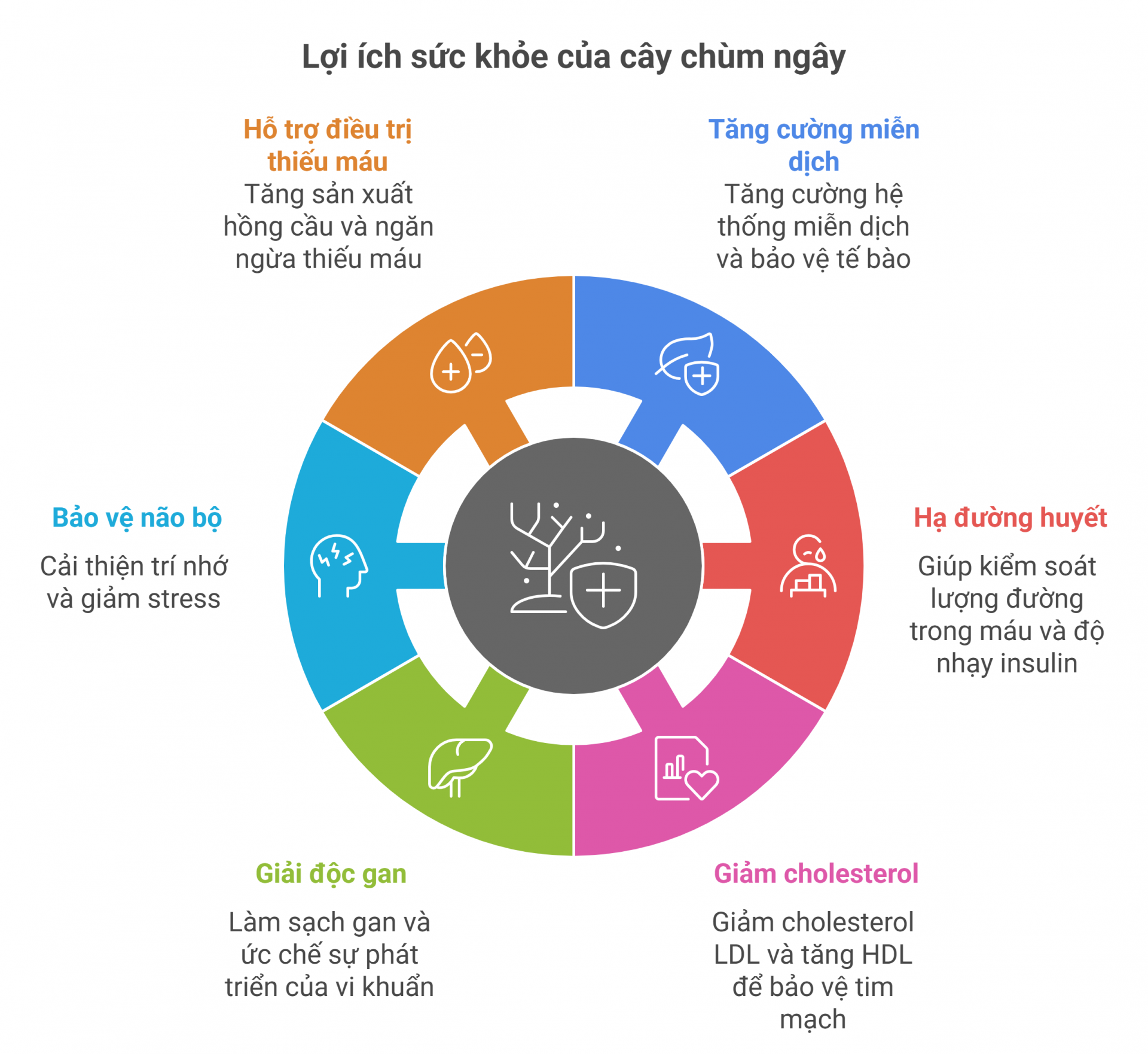 [E-Magazine] Rau chùm ngây: "Siêu thực phẩm" từ thiên nhiên