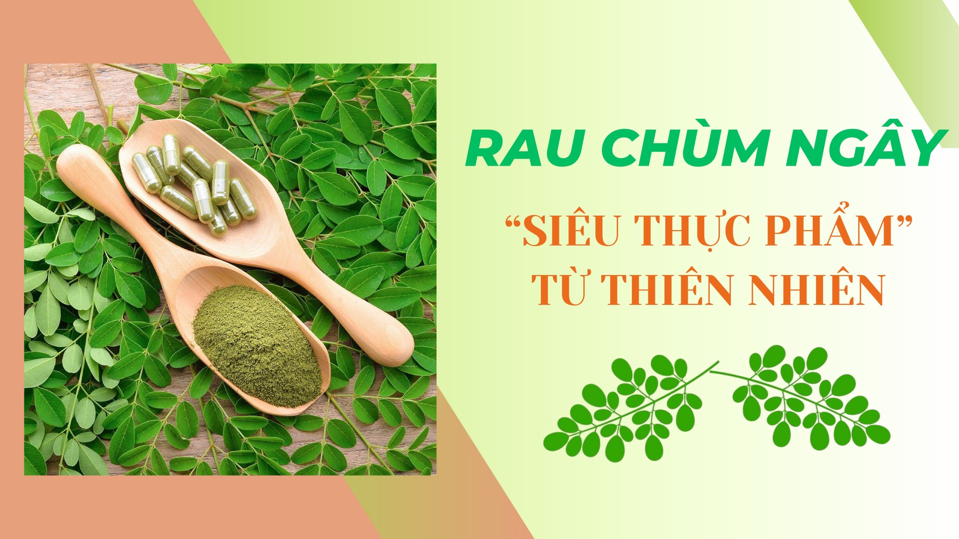 [E-Magazine] Rau chùm ngây: "Siêu thực phẩm" từ thiên nhiên