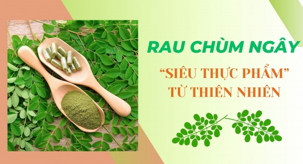 [E-Magazine] Rau chùm ngây: "Siêu thực phẩm" từ thiên nhiên