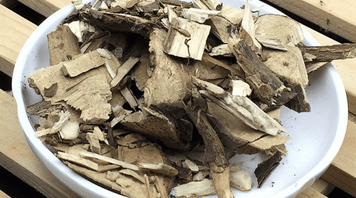 Bạch đồng nữ – Vị thuốc quý từ thiên nhiên dành cho phụ nữ