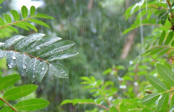 Dự báo thời tiết ngày 23/7/2025: Mưa to và dông, có khả năng xảy ra lốc, sét, gió giật mạnh