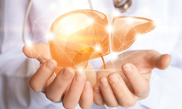 Gan khỏe để sống thọ – Đừng đợi đến lúc mệt mỏi mới quan tâm