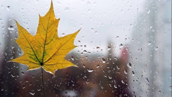 Dự báo thời tiết ngày 24/7/2025: Mưa rào và dông, có nơi mưa to