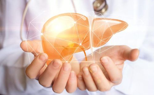 Rượu bia tàn phá gan như thế nào?