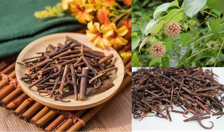 Dược liệu cổ truyền trong hỗ trợ điều trị rối loạn tiền đình Dược liệu cổ truyền trong hỗ trợ điều trị rối loạn tiền đình