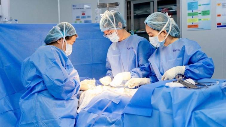 Các bác sĩ can thiệp phẫu thuật cho bệnh nhân. Các bác sĩ can thiệp phẫu thuật cho bệnh nhân.