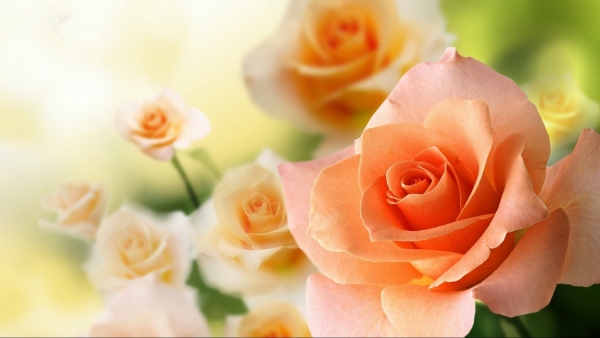 Dự báo thời tiết ngày 28/7/2025: Chiều tối và đêm có dông