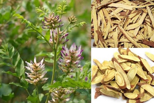 Cảnh báo nghiêm trọng: Thu hồi lô dược liệu cam thảo không đạt chất lượng – nguy cơ ảnh hưởng tới sức khỏe người dùng