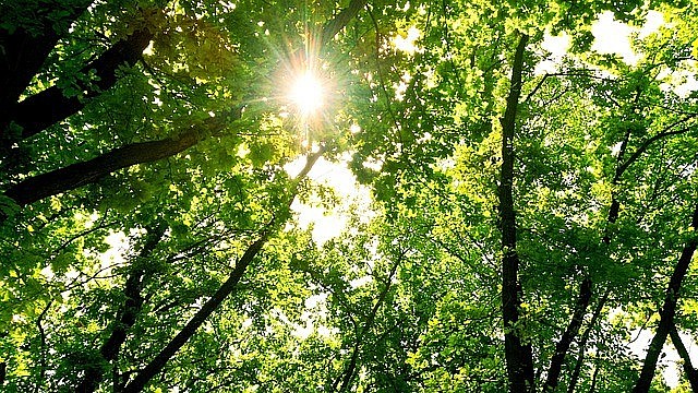 Dự báo thời tiết đêm nay và ngày mai 5/8: Hà Nội và các khu vực trên cả nước