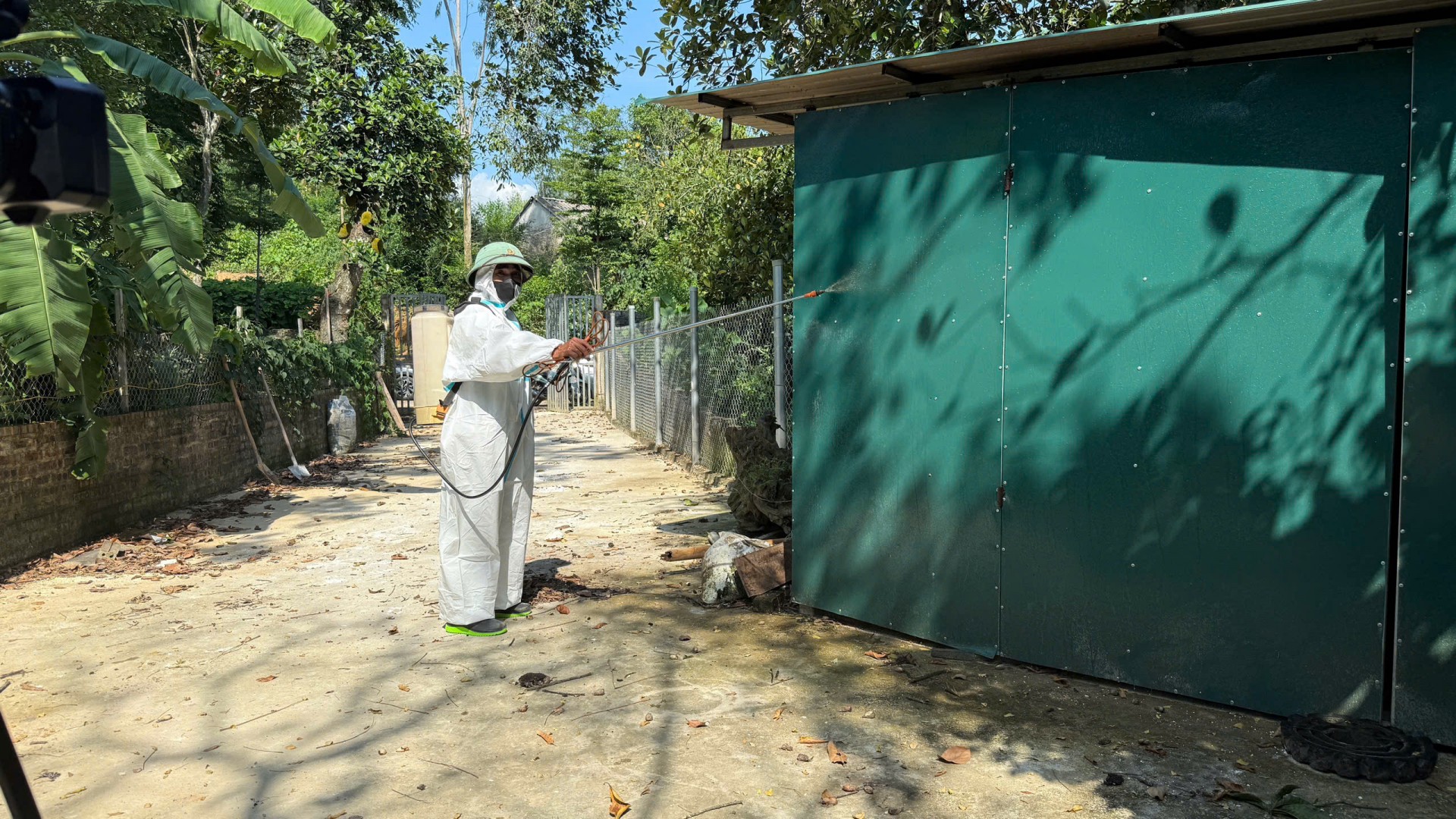 Phú Thọ: Quyết liệt chống dịch tả lợn châu Phi bảo vệ đàn vật nuôi, đảm bảo sinh kế