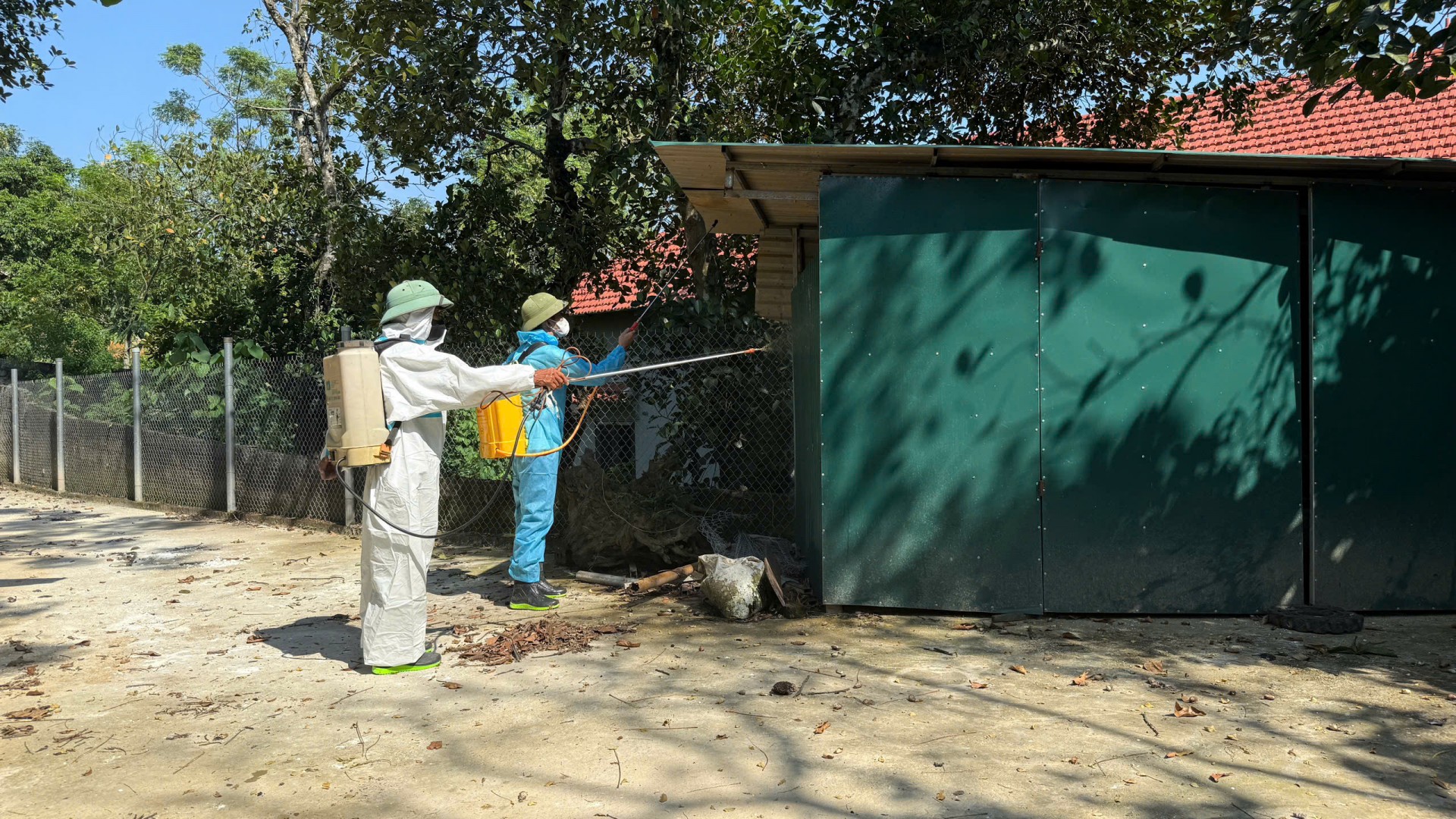 Phú Thọ: Quyết liệt chống dịch tả lợn châu Phi bảo vệ đàn vật nuôi, đảm bảo sinh kế