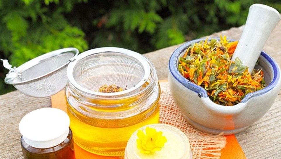 Dược liệu chữa bỏng: Kho tàng quý từ thiên nhiên