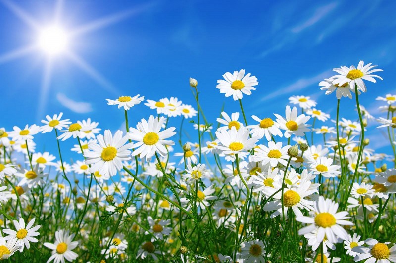 Dự báo thời tiết đêm nay và ngày mai 8/8: Hà Nội và các khu vực trên cả nước