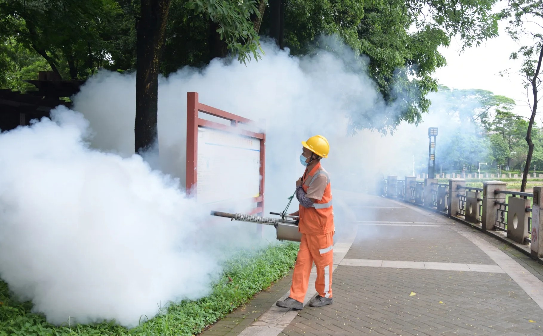 Dịch Chikungunya nguy hiểm lan rộng ở Trung Quốc