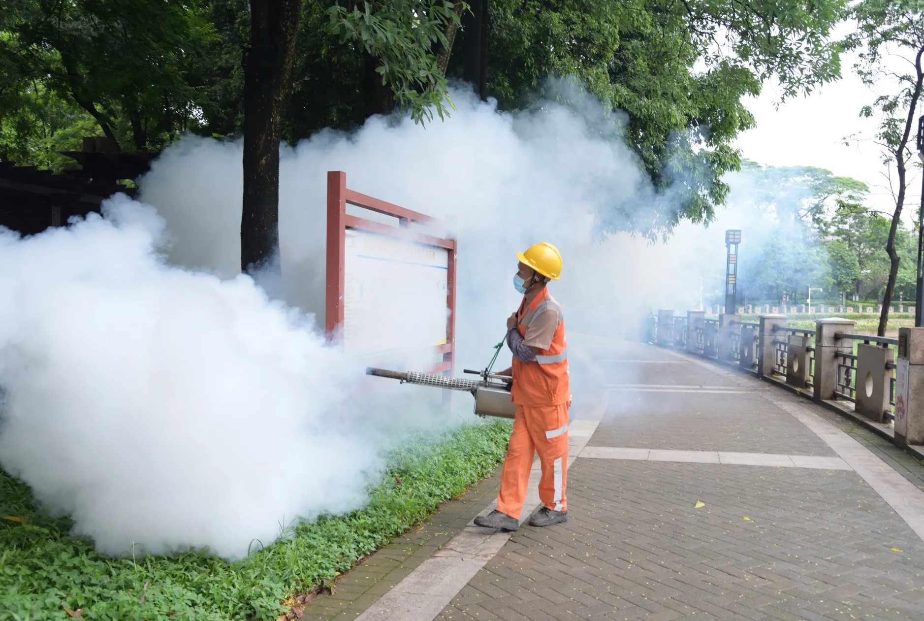 Dịch Chikungunya nguy hiểm lan rộng ở Trung Quốc