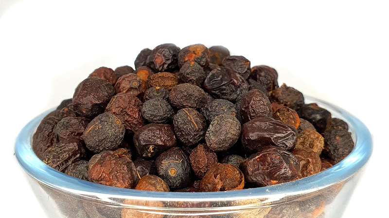 Xuyên luyện tử: Vị thuốc độc với tiềm năng điều trị bệnh lý