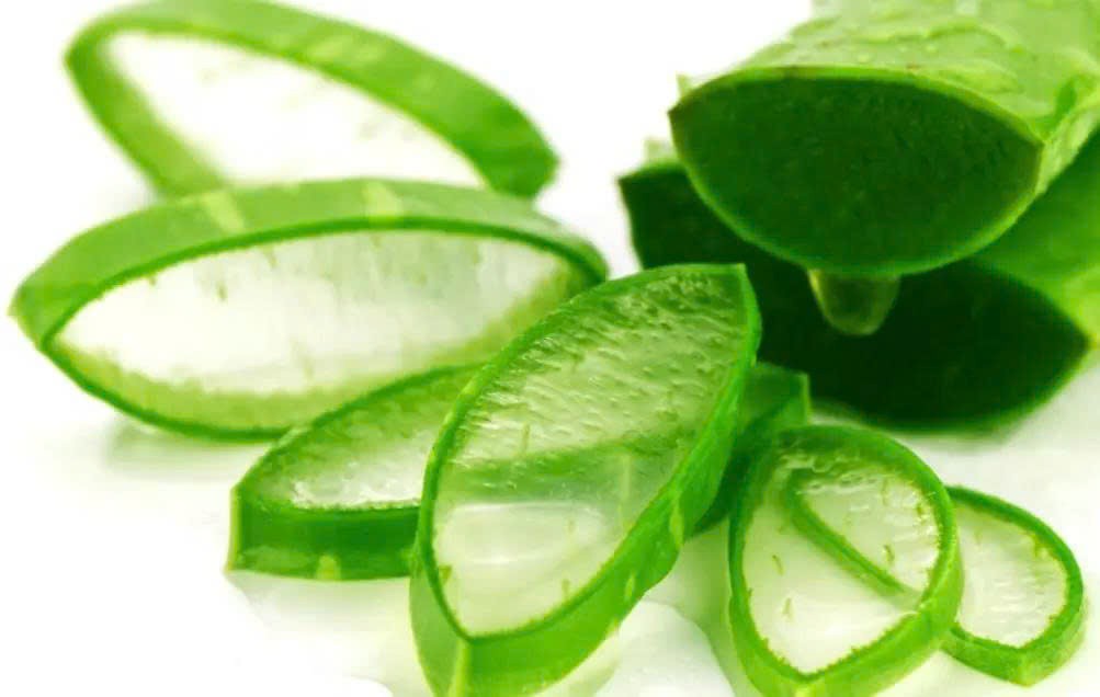 Chữa viêm đại tràng bằng cây nha đam Chữa viêm đại tràng bằng cây nha đam