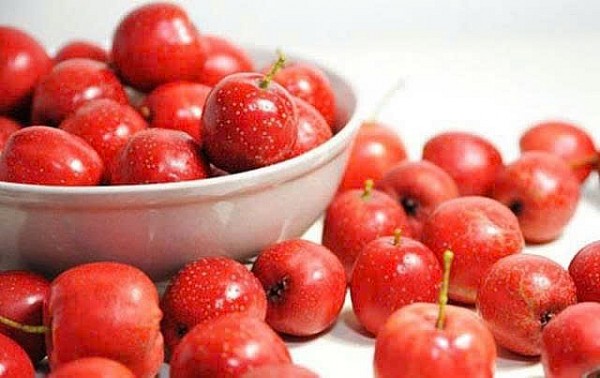 Sơn tra - Quả ngon, thuốc quý