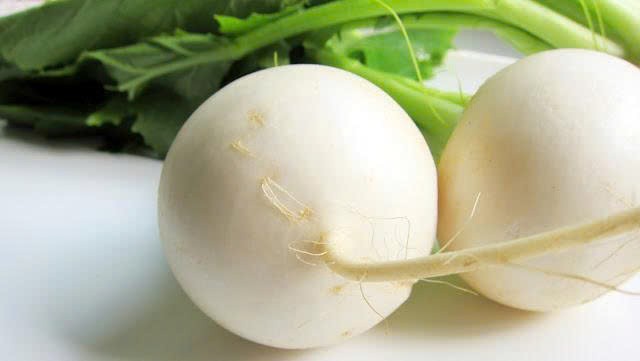 Cải củ – Cây thuốc nam trị ho hiệu quả và an toàn Cải củ – Cây thuốc nam trị ho hiệu quả và an toàn