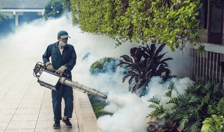 Bộ Y tế thông tin về bệnh gây đau, viêm khớp do lây từ muỗi Aedes