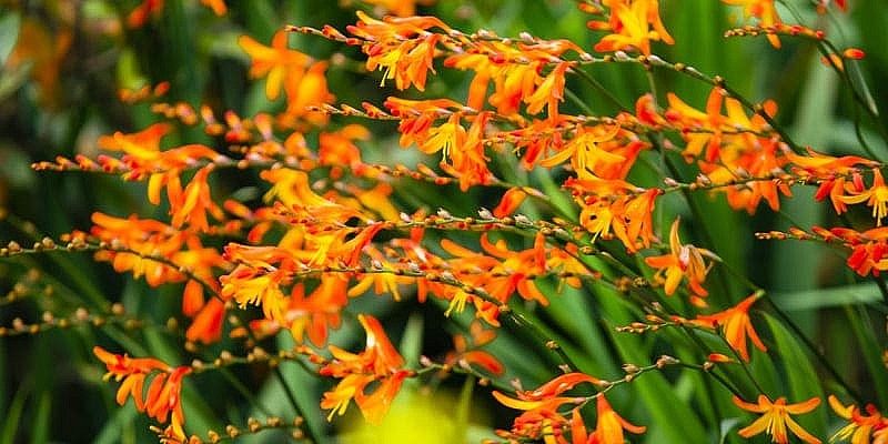 Dự báo thời tiết đêm nay và ngày mai 14/8: Hà Nội và các khu vực trên cả nước Dự báo thời tiết đêm nay và ngày mai 14/8: Hà Nội và các khu vực trên cả nước