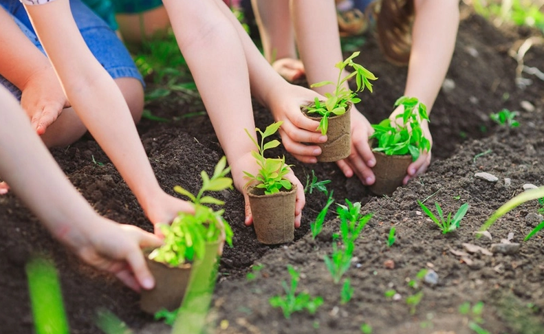 Phát động phong trào toàn dân chung tay bảo vệ môi trường chào mừng kỷ niệm 80 năm Quốc khánh 2/9